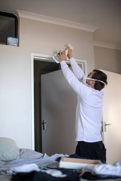 Trusted Gardiner, ME Mold Removal Experts