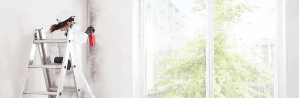 Best Asbestos and Lead Testing During Mold Inspection  in Gardiner, ME